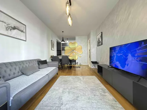 Izdavanje, jednosoban stan, 50m², Central Point, Podgorica - image 2