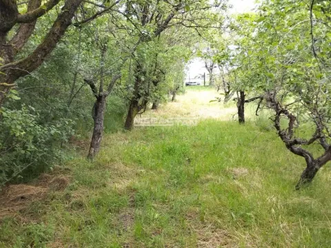 Prodaja, plac, 2518m², Pančevo, Srbija - image 3