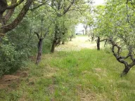 Sale, land lot, Pančevo, Srbija - image 3