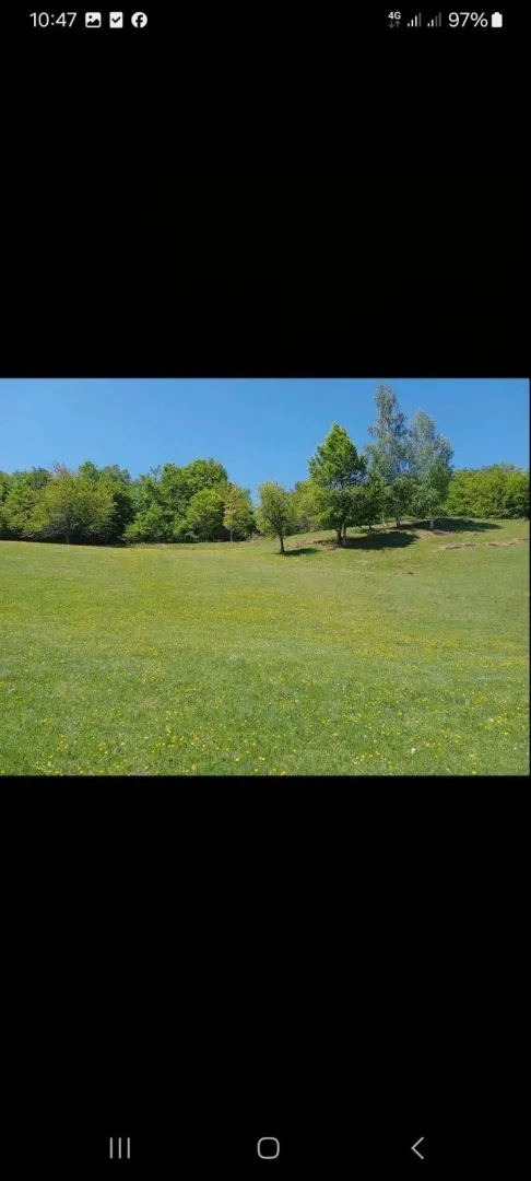 Zelena livada sa drvećem pod plavim nebom.