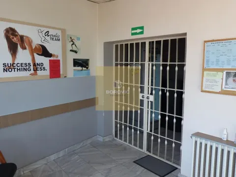 Prodaja, poslovni prostor, 273m², Banovo Brdo, Beograd - image 9