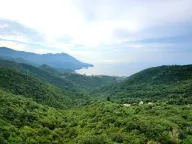 Sale, land lot, 9074m², Markovići, Budva - image 6