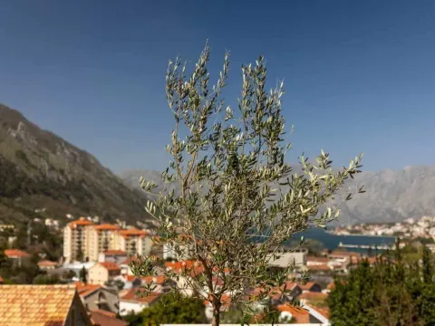 Sale, house, 160m², Škaljari, Kotor - image 28