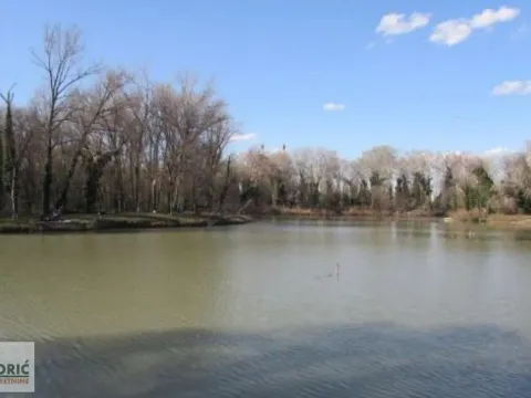 Sale, land lot, 30m², Krnjaca, Palilula Sve Podlokacije