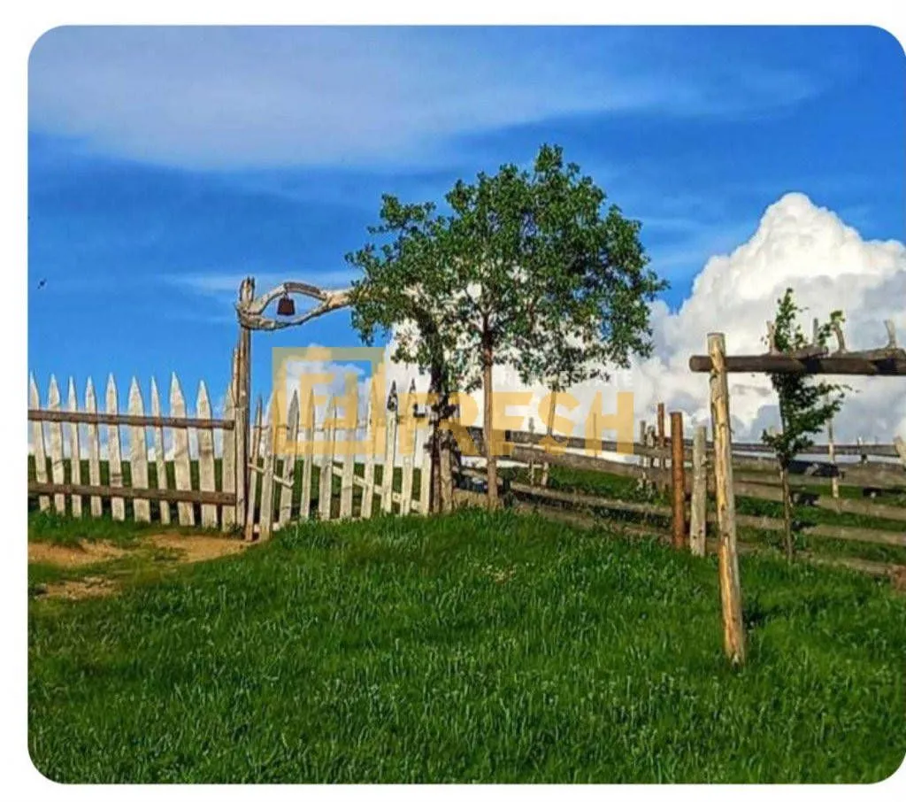 Prodaja, plac, 6000m², Berane, Crna Gora