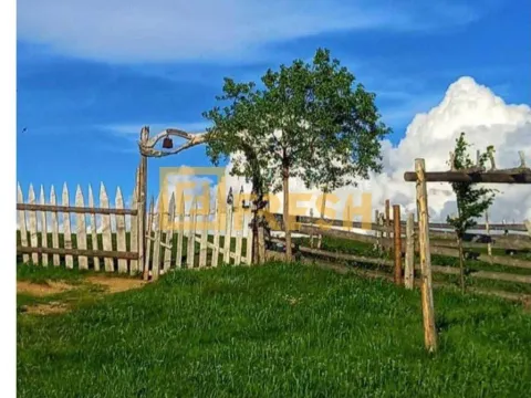 Prodaja, plac, 6000m², Berane, Crna Gora - image 8