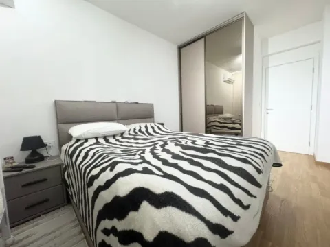 Prodaja, dvosoban stan, 66m², Stari Aerodrom, Podgorica - image 4