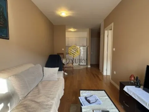 Izdavanje, jednosoban stan, 41m², Central Point, Podgorica - image 9