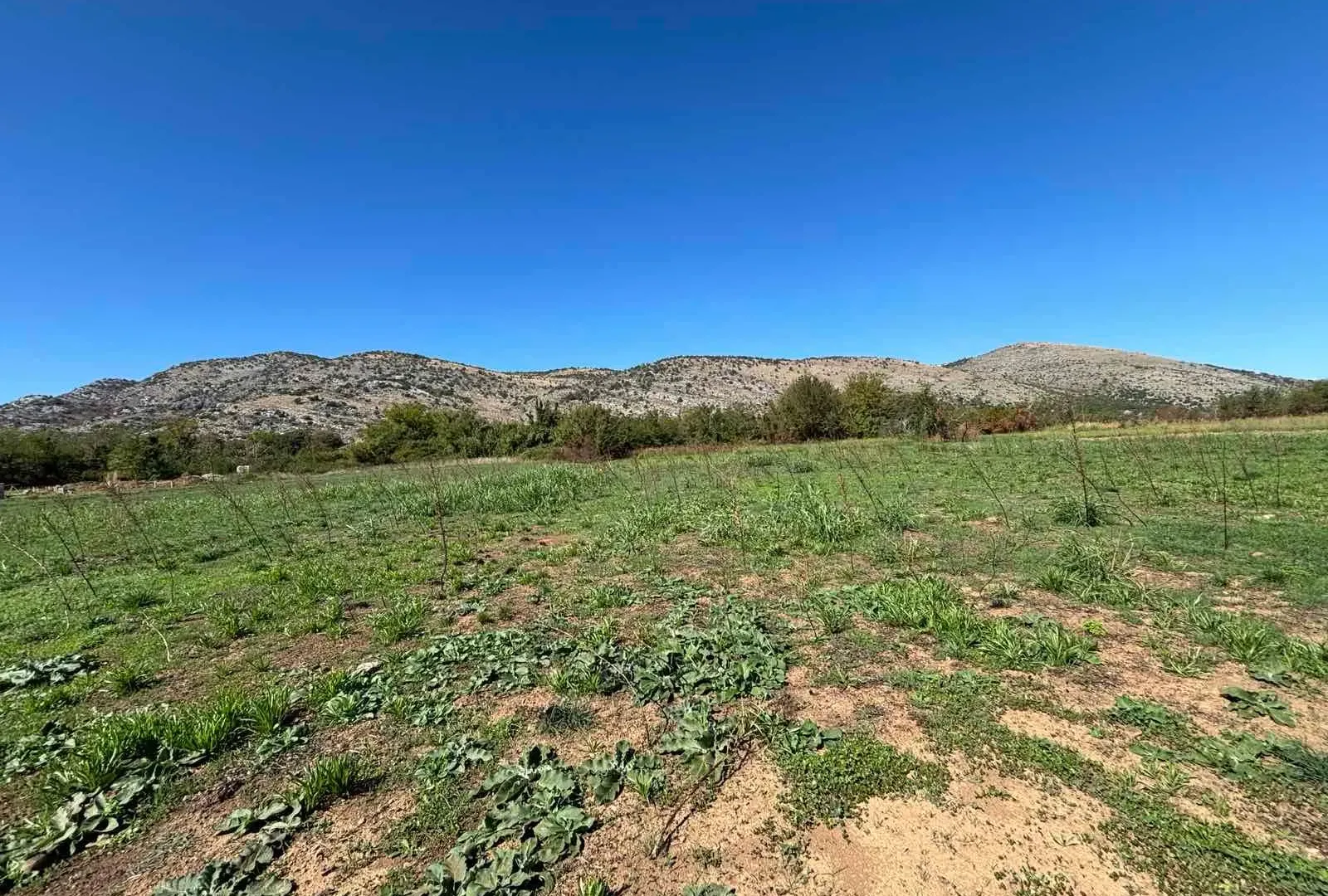 Prodaja, plac, 9569m², Botun, Podgorica