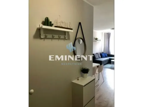 Rent, apartment, 48m², Novi Beograd Sve Podlokacije, Beograd - image 7