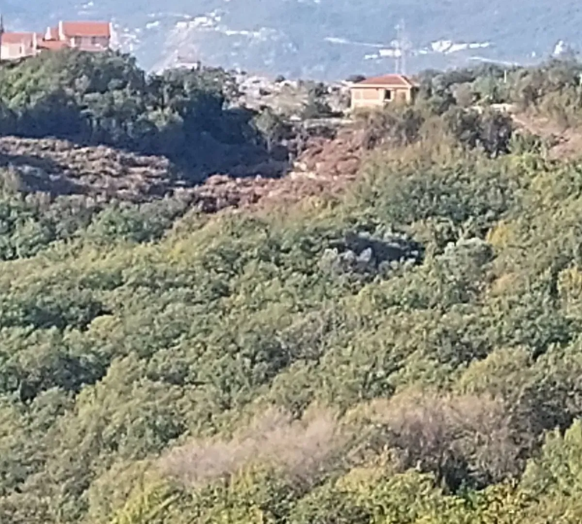 Prodaja, plac, 5352m², Reževići, Budva