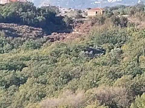 Prodaja, plac, 5352m², Reževići, Budva - image 3