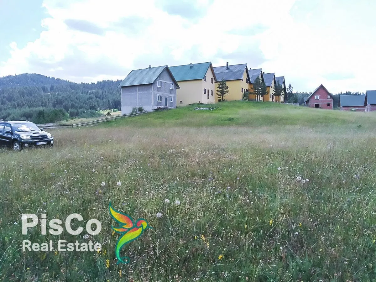 Prodaja, plac, 6000m², Borje, Žabljak
