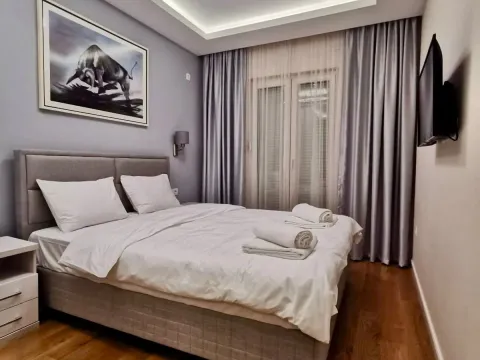 Izdavanje, jednosoban stan, 50m², Central Point, Podgorica - image 11