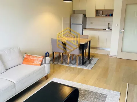 Rent, one bedroom apartment, 47m², City Kvart, Podgorica - image 6