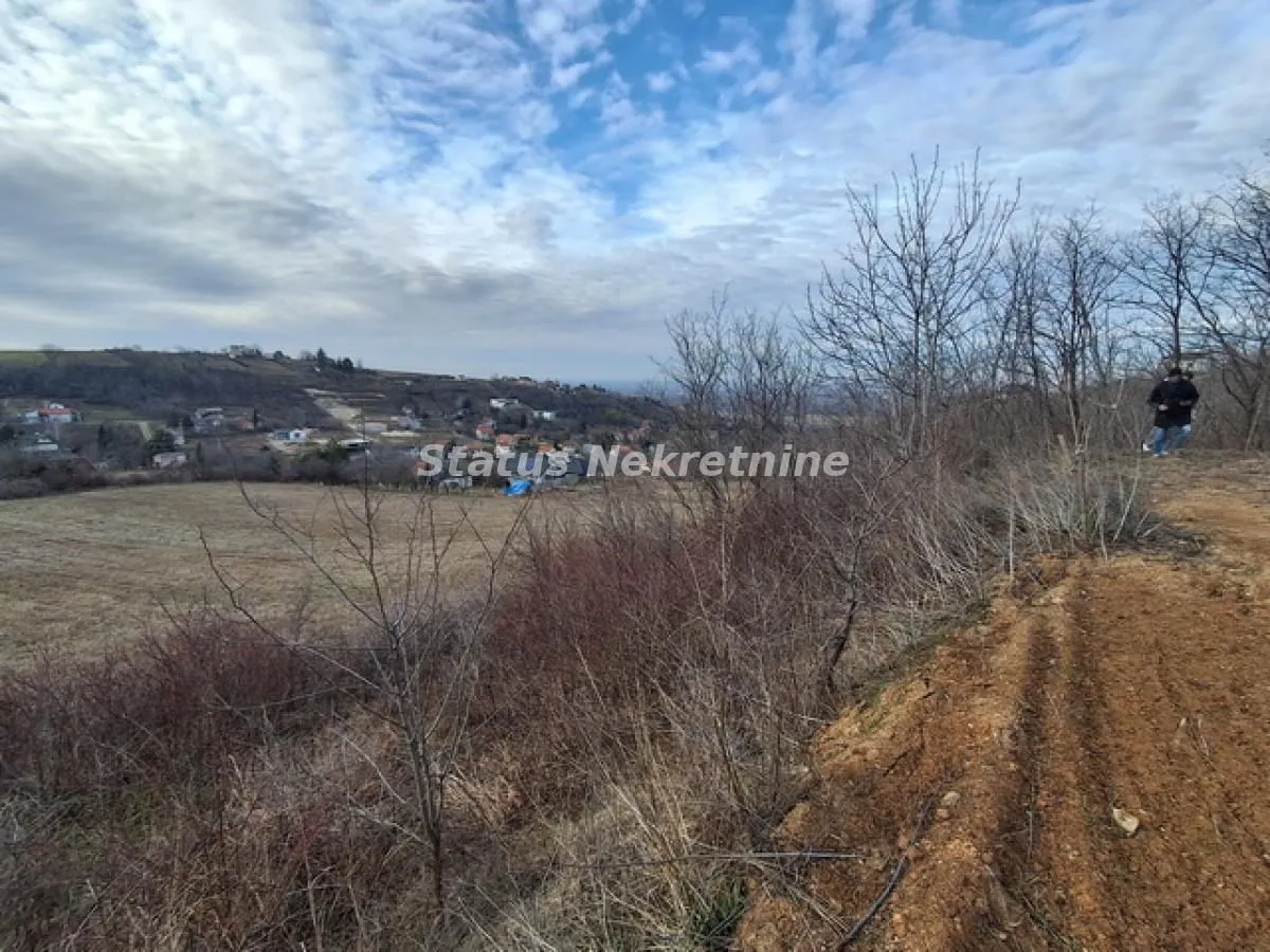 Prodaja, plac, 14994m², Ledinci, Petrovaradin