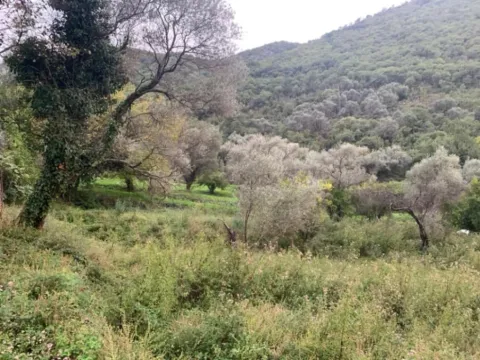 Sale, land lot, 2313m², Donji Stoliv, Kotor - image 3