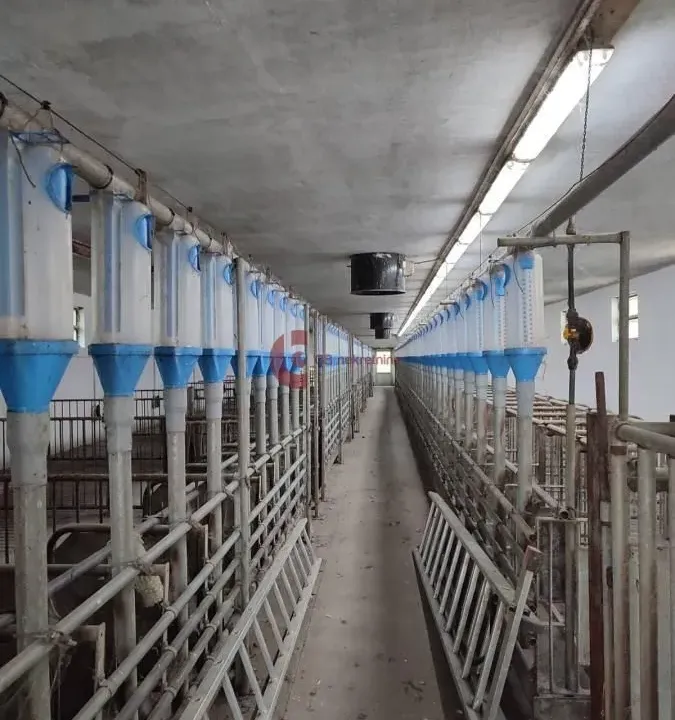 Prodaja, kuća, 228m², Kelebija, Subotica