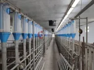 Prodaja, kuća, 228m², Kelebija, Subotica - image 1