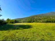 Prodaja, plac, 5181m², Ćurilac, Danilovgrad - image 1