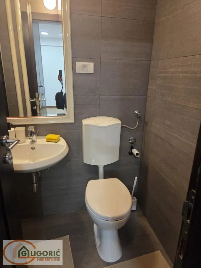 Rent, one bedroom apartment, 42m², Novi Beograd Blok 30, Novi Beograd Sve Podlokacije