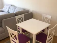 Izdavanje, jednosoban stan, 47m², Central Point, Podgorica - image 4