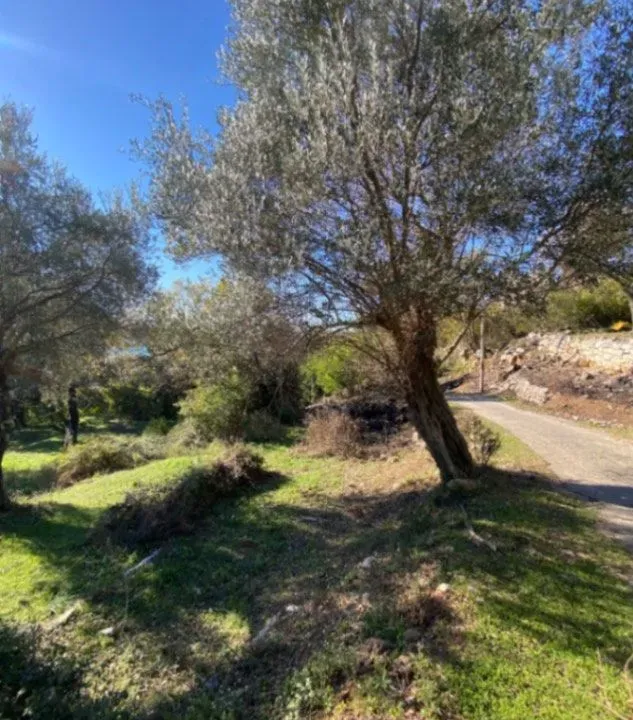 Sale, land lot, 1258m², Mrčevac, Tivat