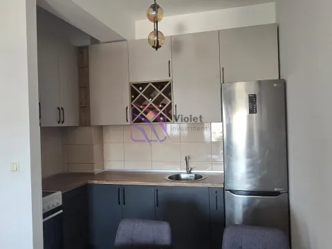 Izdavanje, jednosoban stan, 46m², Zabjelo, Podgorica - image 7