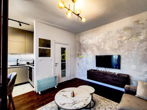 Izdavanje, jednosoban stan, 39m², Kruševac, Podgorica - image 11