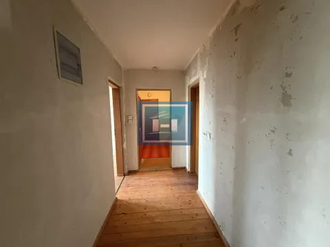 Prodaja, kuća, 500m², Miloševo, Jagodina - image 53