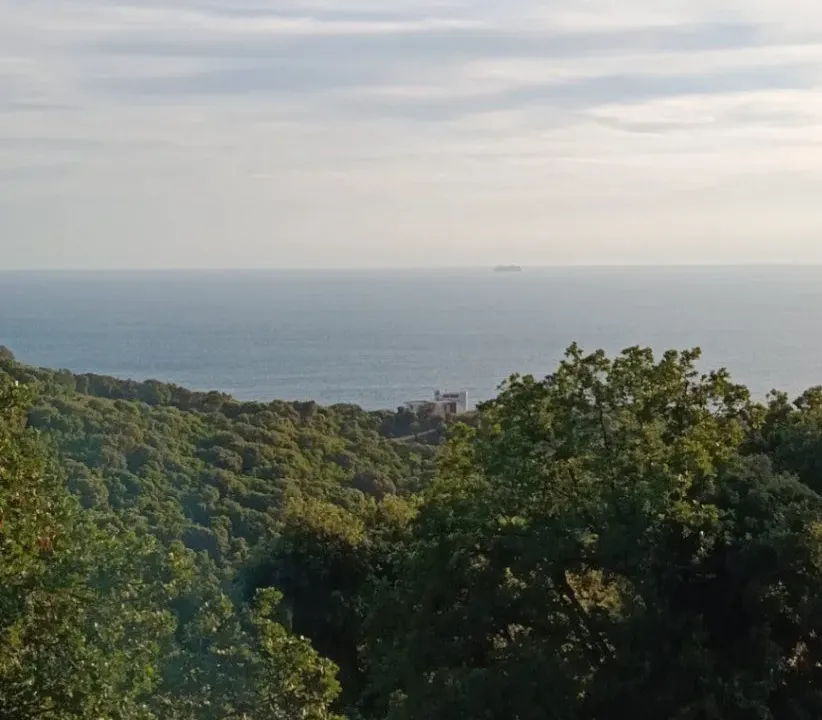 Prodaja, plac, 1589m², Utjeha, Bar