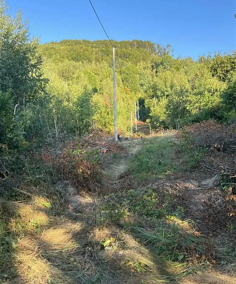 Prodaja, plac, 90000m², Kolašin, Crna Gora