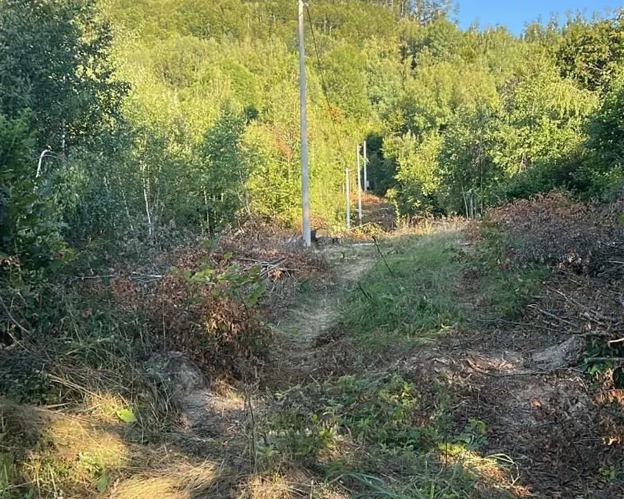 Prodaja, plac, 90000m², Kolašin, Crna Gora