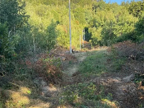 Prodaja, plac, 90000m², Kolašin, Crna Gora