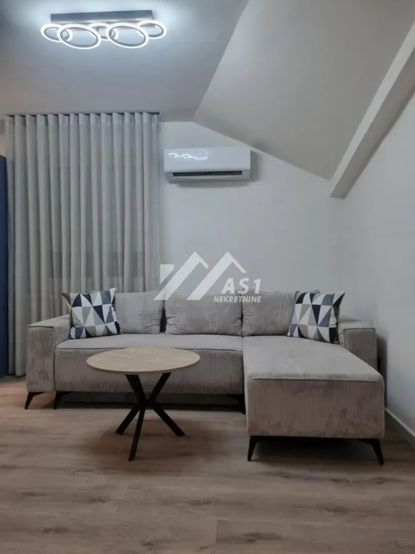 Izdavanje, dvosoban stan, 50m², Centar, Novi Sad