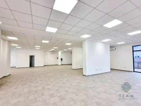 Izdavanje, poslovni prostor, 253m², Zabjelo, Podgorica