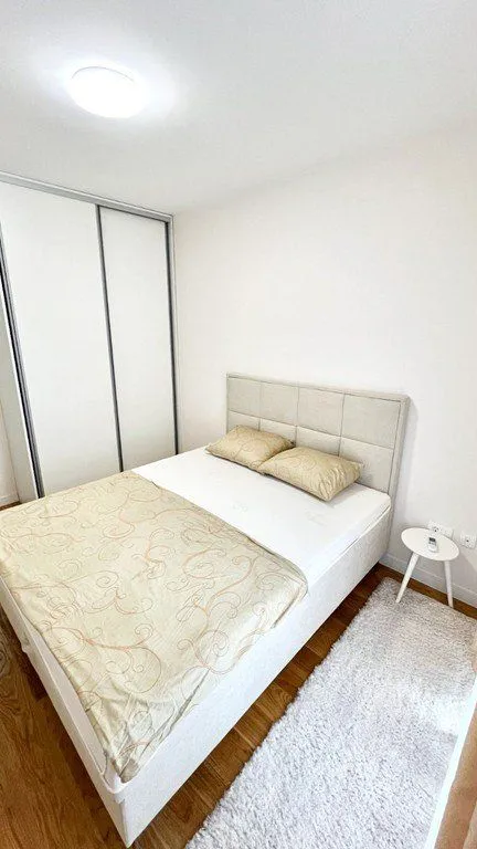Izdavanje, jednosoban stan, 47m², Central Point, Podgorica