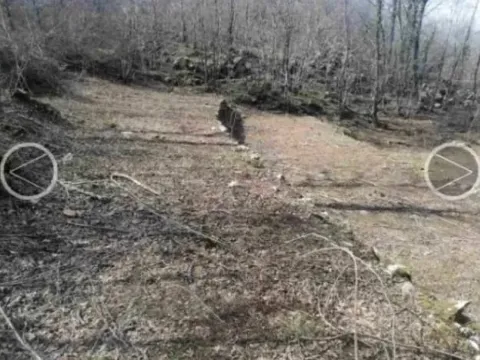 Prodaja, plac, 13600m², Centar, Bar - image 8