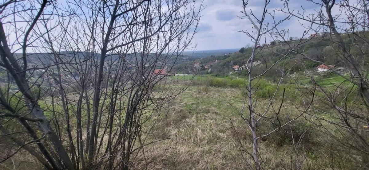 Sale, land lot, 2800m², Beočin, Srbija