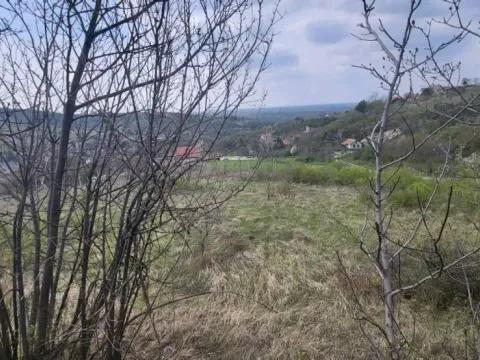 Prodaja, plac, 2800m², Beočin, Srbija - image 11