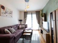 Rent, one bedroom apartment, 50m², Tološka šuma, Podgorica - image 1