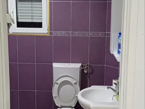 Izdavanje, kuća, 260m², Donji Kokoti, Podgorica - image 19