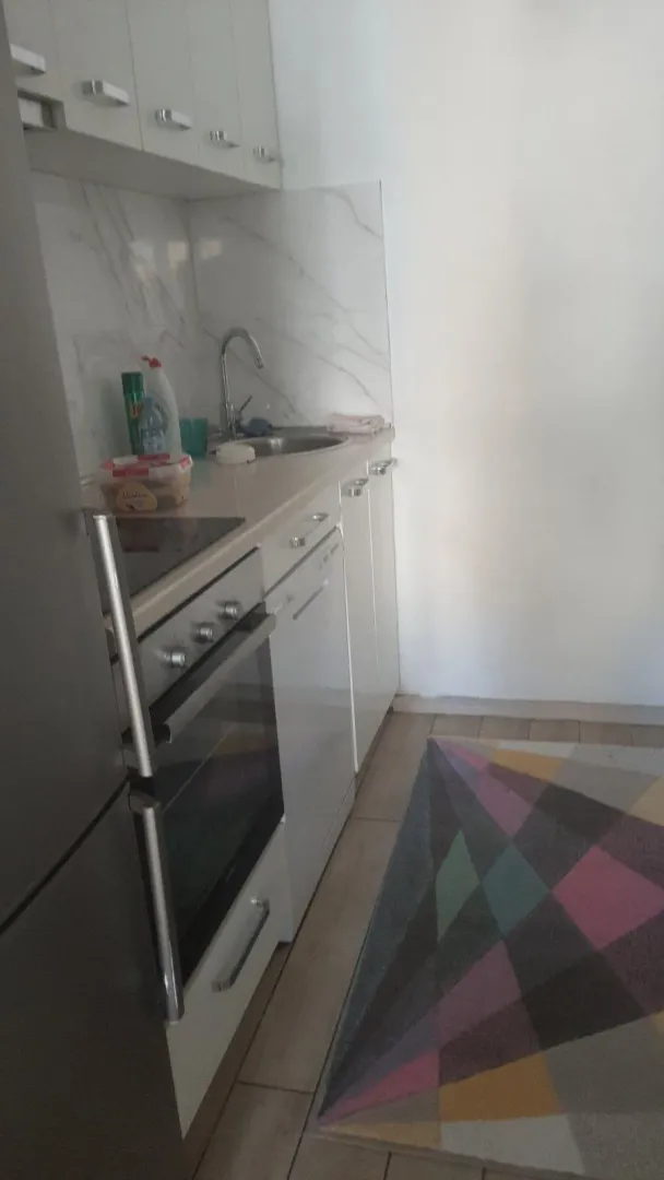 A small, functional kitchen with built-in appliances and a colorful rug.