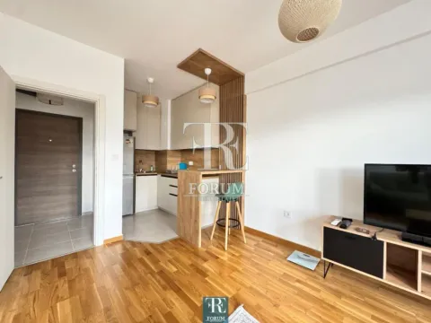 Rent, studio apartment, 35m², Zabjelo, Podgorica - image 5