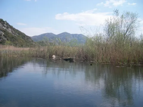 Prelijep prirodni pejzaž sa mirnom vodom, trskom i brdima u daljini. - image 5