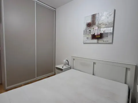 Rent, one bedroom apartment, 37m², Zabjelo, Podgorica - image 6