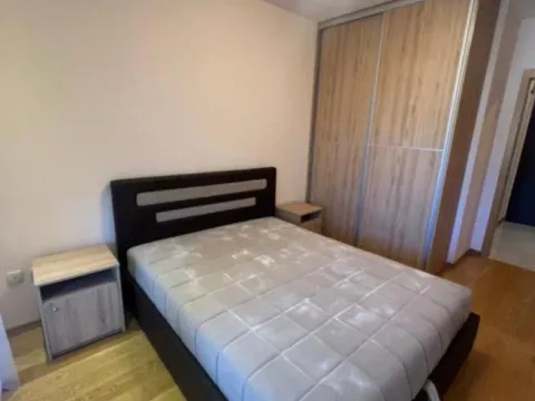 Izdavanje, jednosoban stan, 46m², Preko Morače, Podgorica - image 12