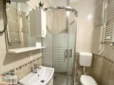 Rent, two bedroom apartment, 58m², Vračar Hram, Vračar Sve Podlokacije - image 11