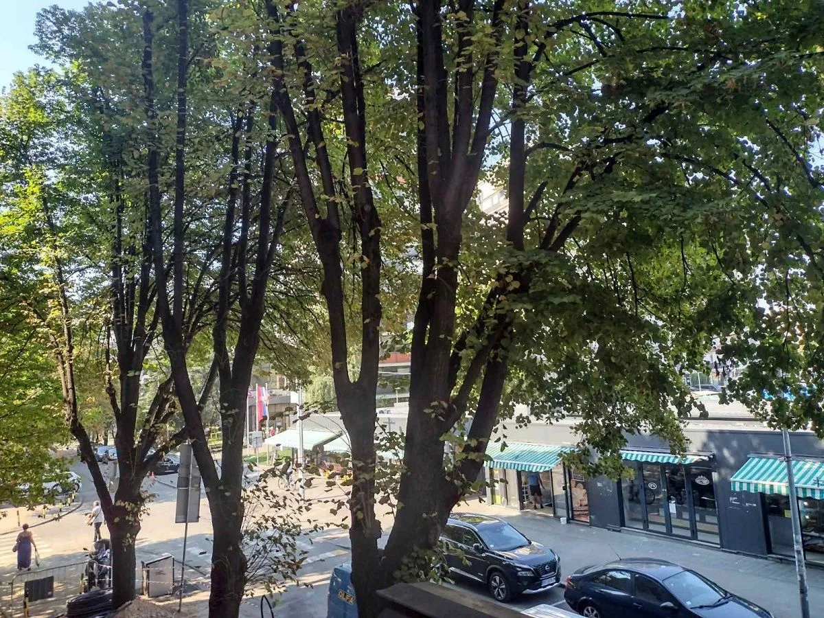 Prodaja, dvosoban stan, 90m², Vračar Sve Podlokacije, Beograd