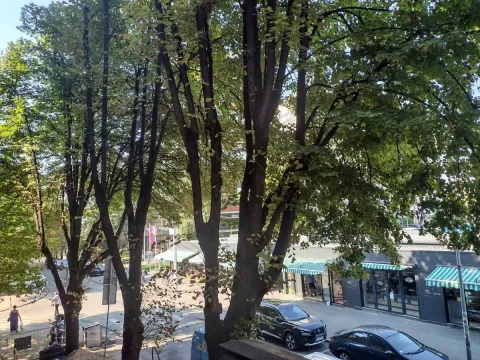 Prodaja, dvosoban stan, 90m², Vračar Sve Podlokacije, Beograd - image 4